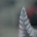 Іра Зайцева фотография #50 (источник - https://vk.com/id152811795)