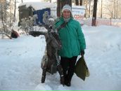 Фотография  