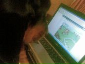 Фотография Далецкой Елены