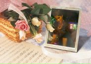 Фотография Тонконоговой Анны