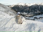 Фотография Гольдиновой Светы