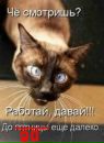 Фотография Коряковцевой Анастасии