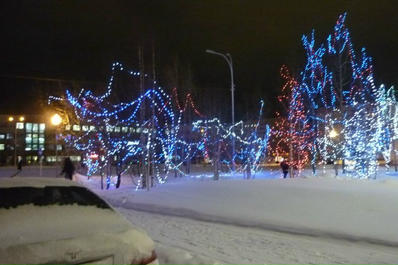 Антон Чендарев фотография #3