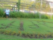 Фотография Воронкова Александра