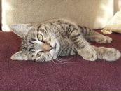 Фотография Мельниковой Оленьки