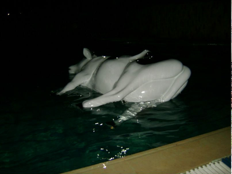 Кирилл Федоров фотография #45