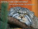 Олег Балашовець фотография #35 (источник - https://vk.com/id136957719)