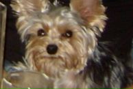 Фотография Емельяновой Ольги