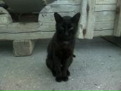 Фотография Вара-Эмрейса Эмгыра