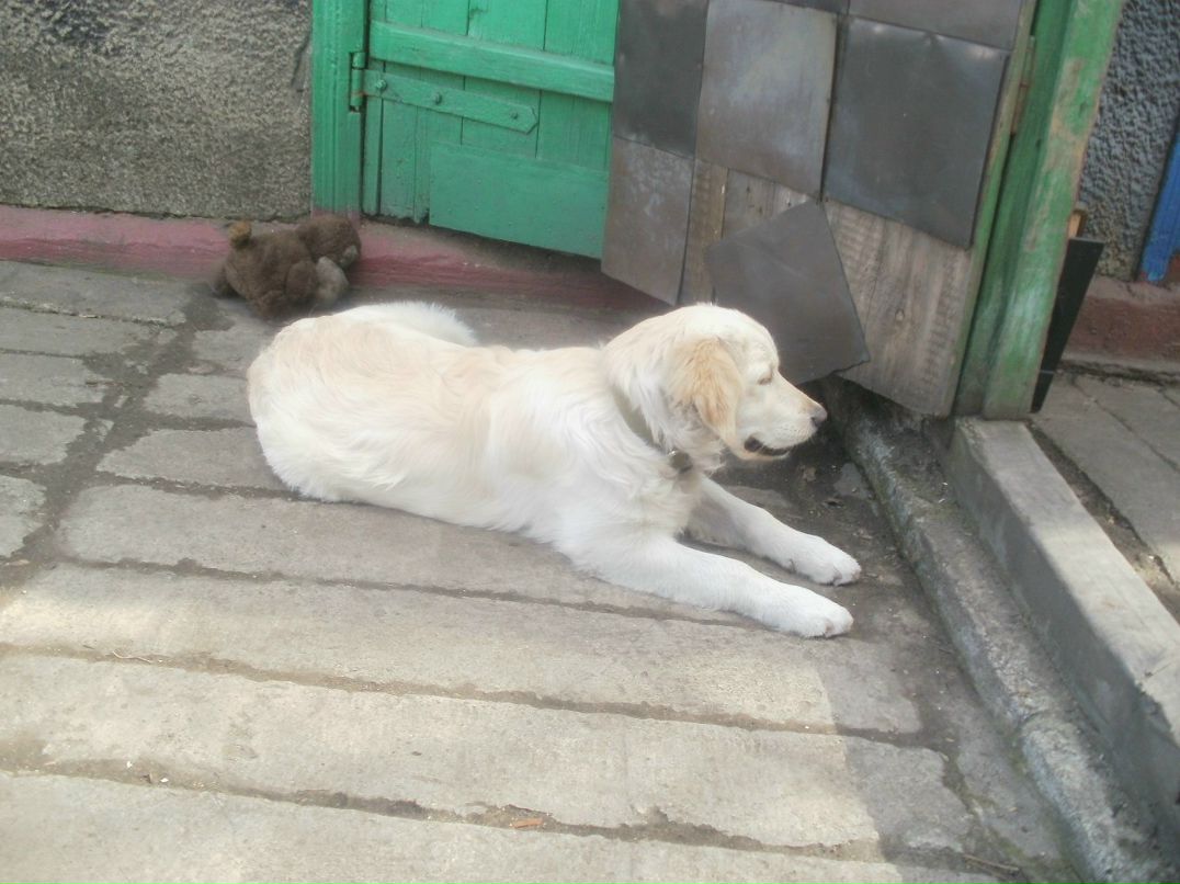 Иван Мозоля фотография #45