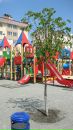 София Κиселева фотография #2 (источник - https://vk.com/id150971613)