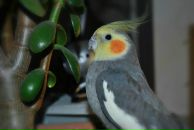 Віталій Грушецький фотография #23 (источник - https://vk.com/id60726593)