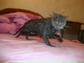 Владислав Гілюк фотография #36 (источник - https://vk.com/id68915626)