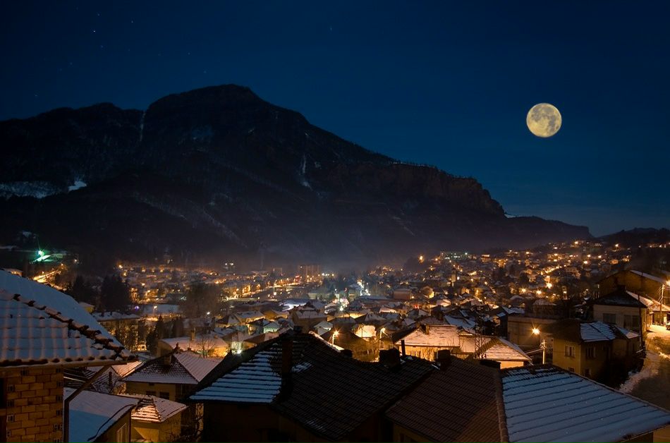 Цецко Цецко фотография #33