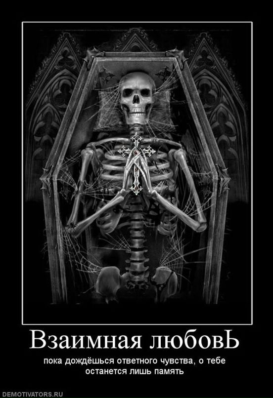 Александр Пацукевич фотография #13