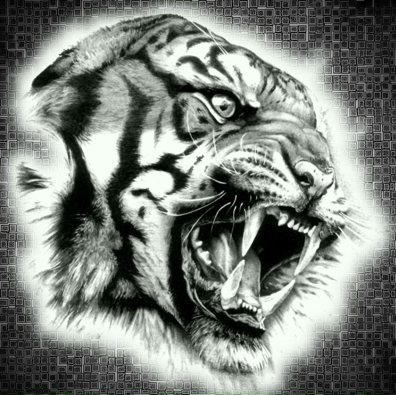 Нариман Татарис фотография #24