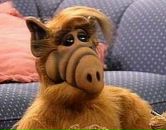 Фотография Лерочкиной Леры