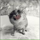 Фотография Смелянской Оли