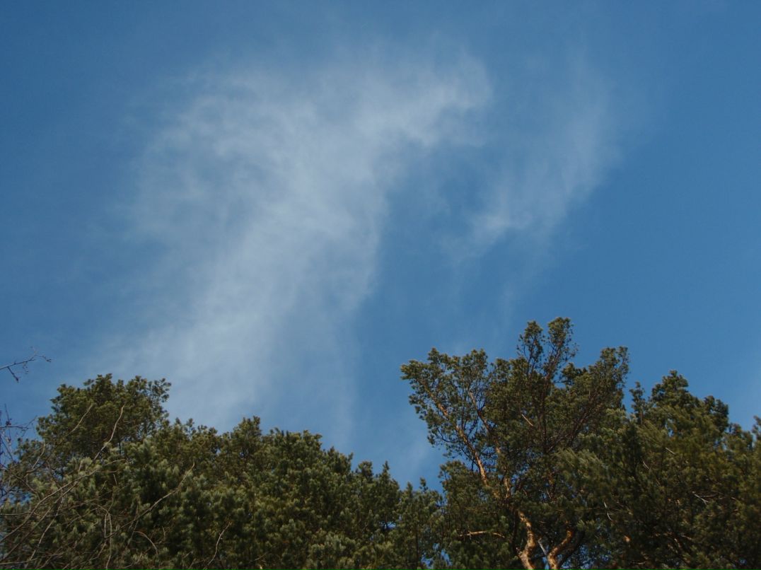 Антон Табаков фотография #22