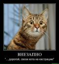 Дмитрий Лашко фотография #34 (источник - https://vk.com/id5400693)