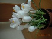 Фотография Лощаковой Галины