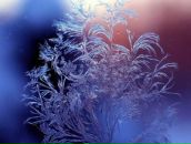 Фотография Кильдеева Тимура