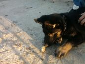 Петро Вітер фотография #17 (источник - https://vk.com/id70474498)