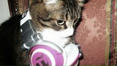 Олег Євдокимов фотография #44 (источник - https://vk.com/id68795383)