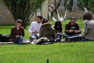 Фотография Алиева Нияза