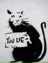 Banksy ____ фотография #1