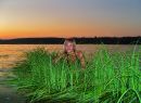 Фотография Петровой Ирины