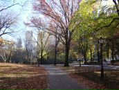 Роман Погріщук фотография #14 (источник - https://vk.com/id7505041)