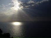 Фотография Rakov Andrey