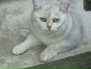 Мария Баланкова фотография #12 (источник - https://vk.com/id430051)