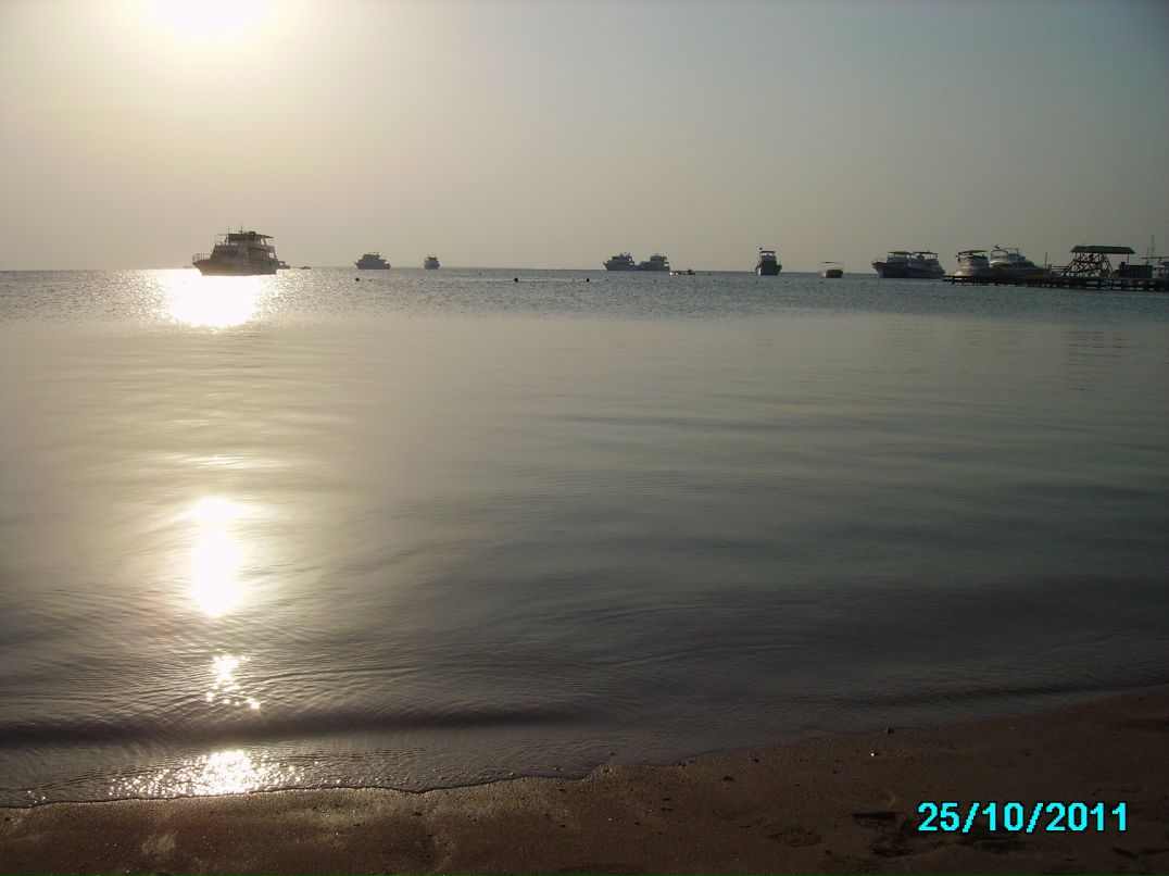 Андрей Савельев фотография #18