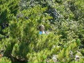 Фотография Горбачевой Натальи