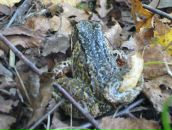 Фотография Аввакумовой Зои