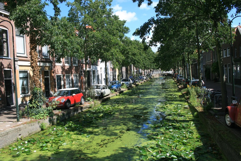 Оля Куровець фотография #40