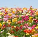 Віруня Стефура фотография #4 (источник - https://vk.com/id168211019)