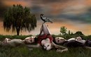 Κсения Κалинина фотография #2 (источник - https://vk.com/id160501266)