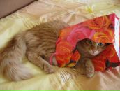 Леша Ионов фотография #18 (источник - https://vk.com/id899355)