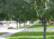 Himelf Achie фотография #7 (источник - https://vk.com/id1474878)