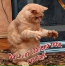 Ростік007 Старий фотография #40 (источник - https://vk.com/id121232181)