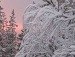Вова Олійник фотография #32 (источник - https://vk.com/id119859699)