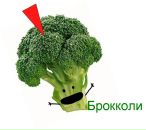 Αндрей Κотов фотография #14 (источник - https://vk.com/id104008744)