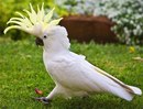 Оксана Ониськів фотография #19 (источник - https://vk.com/id157671742)