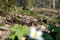 Андрюха Кіптель фотография #46 (источник - https://vk.com/id3545054)