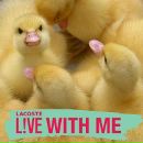 Фотография Uryadova Anna