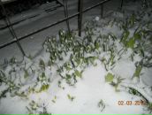 Фотография Якуши Анны