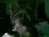 Фотография Дубковой Арины